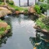 Mẫu thiết kế sân vườn