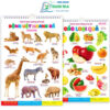 Sách - Tranh Treo Tường 14 Chủ Đề Cho Bé - Giúp Bé Khám Phá Thế Giới Và Các Sự Vật Quanh Mình  (Bộ 12 Trang - 14 Chủ Đề)