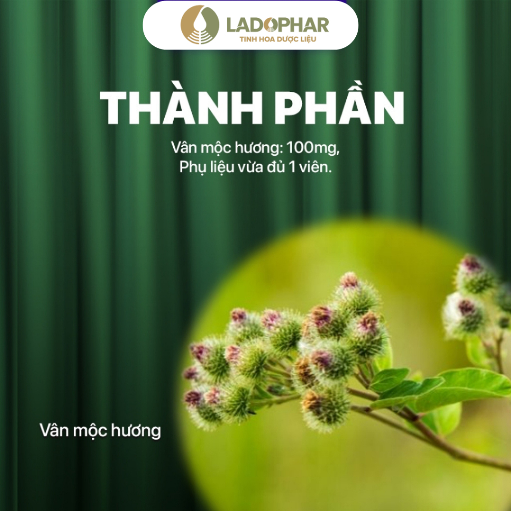 Viên uống Vân Mộc Hương LADOPHAR giúp hỗ trợ giảm các triệu chứng rối loạn tiêu hóa như đầy bụng, khó tiêu, tiêu chảy Viên uống Vân Mộc Hương LADOPHAR giúp hỗ trợ giảm các triệu chứng rối loạn tiêu hóa như đầy bụng, khó tiêu, tiêu chảy