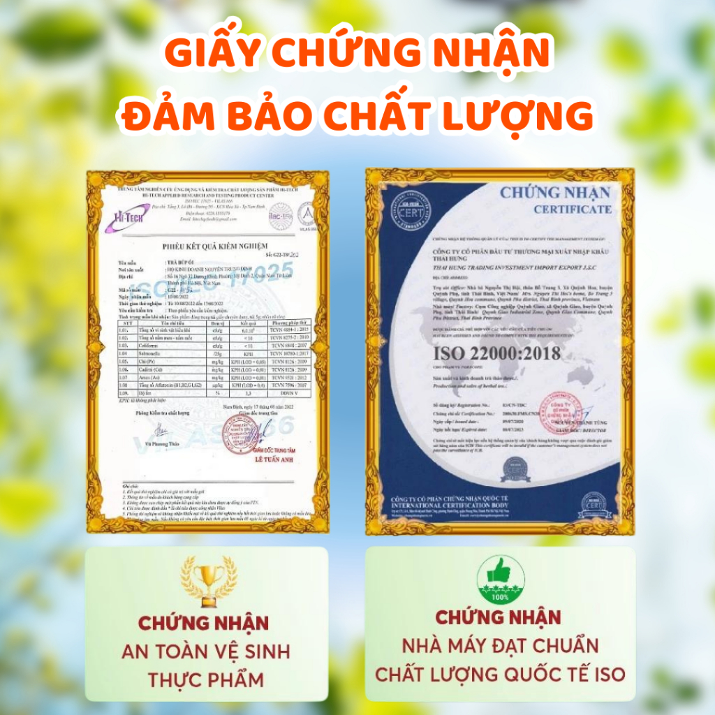 Trà Lá Ổi Green Tea Hộp 60 Túi Lọc Hỗ Trợ Giảm Cân, Trà Búp Ổi Giảm Đường Huyết, Cải Thiện Tiêu Hóa Trà Lá Ổi Green Tea Hộp 60 Túi Lọc Hỗ Trợ Giảm Cân, Trà Búp Ổi Giảm Đường Huyết, Cải Thiện Tiêu Hóa
