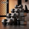 Tạ PINMU Lục Giác Tập Gym Thể Hình Tại Nhà 2kg 4kg 10kg 20kg Nhựa PVC Cao Cấp Nam Nữ Đều Dùng Được