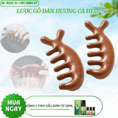 Lược Gỗ Đàn Hương Massage Hình Cá Heo, Massage Da Đầu  Và Cổ Vai Gáy| Mỹ Nghệ Dướng Sinh HT