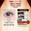 Kính áp tròng VIVIMOON EYECONIC lens cận cho mắt thở màu nâu Fading Petal, giãn tròng to baby 14.5mm hạn sử dụng 6 tháng