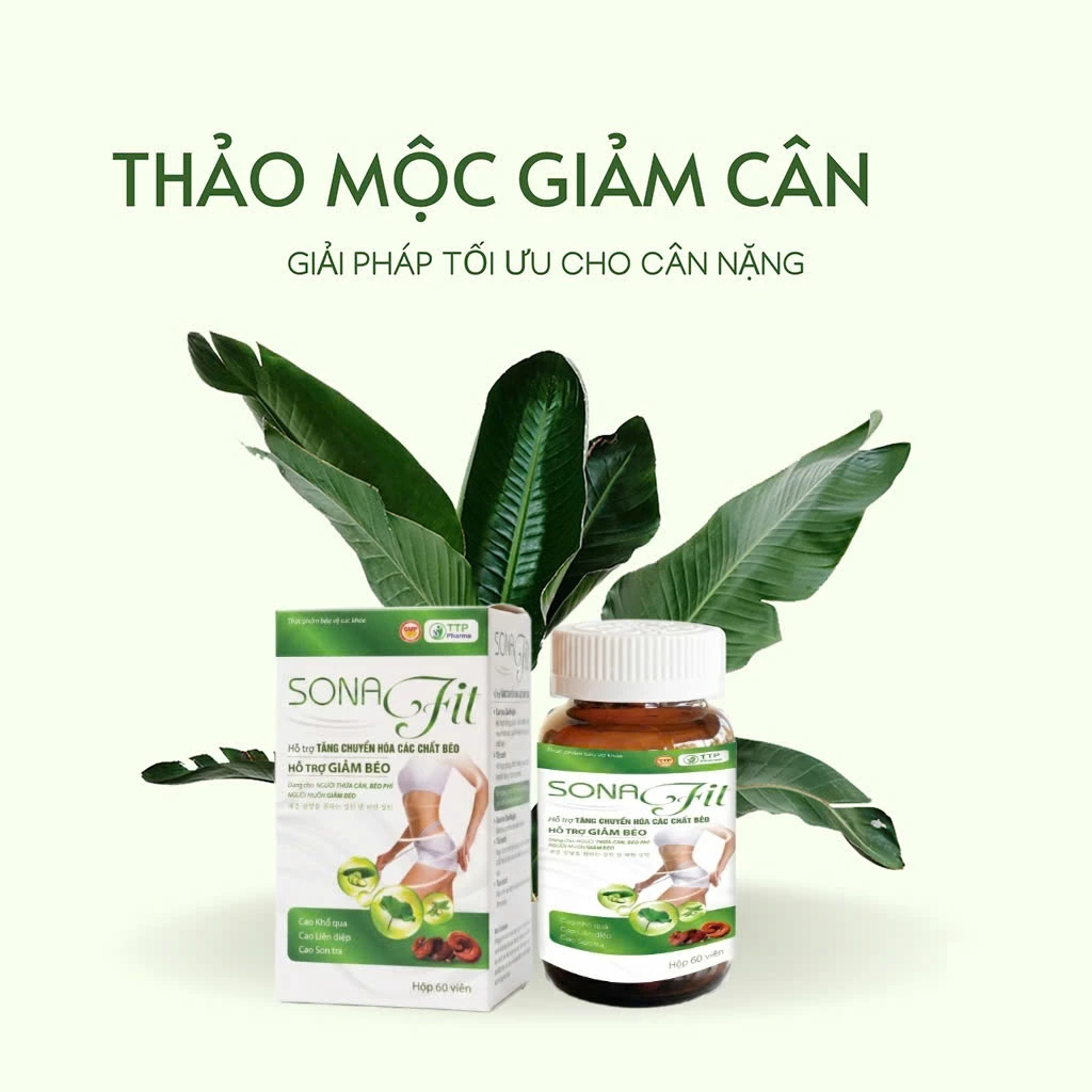Giảm cân SONA FIT thảo mộc giảm cân diệt mỡ, viên giảm cân an toàn tiện lợi hộp 60 Viên Giảm cân SONA FIT thảo mộc giảm cân diệt mỡ, viên giảm cân an toàn tiện lợi hộp 60 Viên