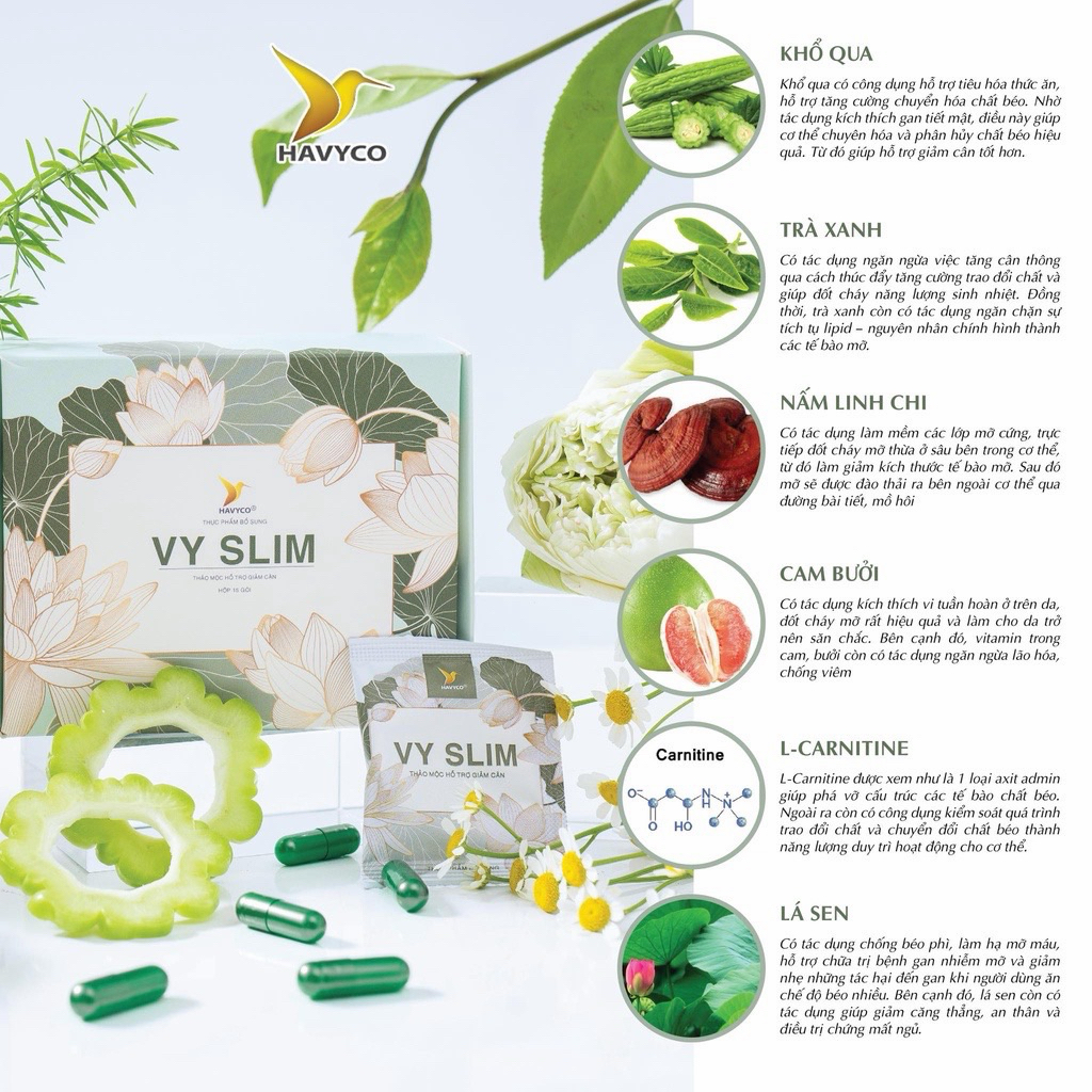 Giảm Cân Vy Slim Hàng Chính Hãng Giảm Cân Vy Slim Hàng Chính Hãng